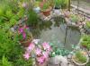 Строительство декоративного водоема своими руками - Строительство водоема на даче - творческий и увлекательный процесс. В ваших силах сделать ваш водоем уникальным, не похожим на другие. Не стоит бояться собственных ошибок. Ведь на ошибках учатся и совершенствуются. А в итого выходит, что-то неповторимое.