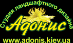 Студия ландшафтного дизайна «Адонис»