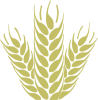 Лотвин Ю.С., ФЛП